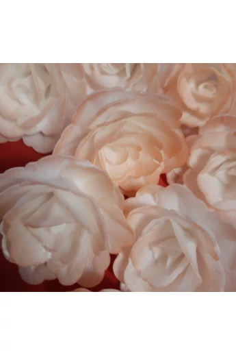 Ostyavirág közepes  BARACK rózsa