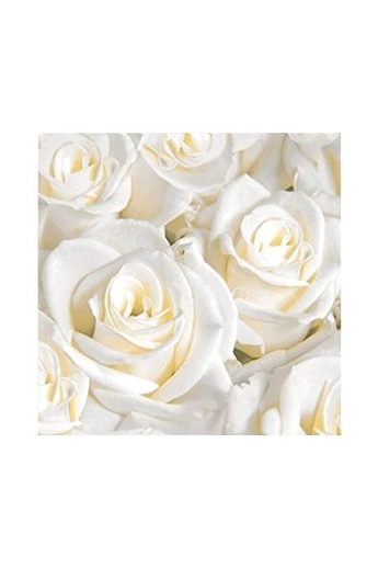 DUNILIN szalvéta      40x40cm      WHITE DREAMS Fehér álmok        12x50db/#