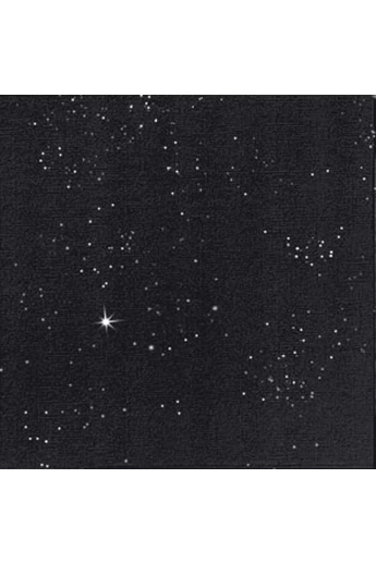 DUNILIN szalvéta      40x40cm     Fekete csillogó BRILLIANCE BLACK 12x50db/#